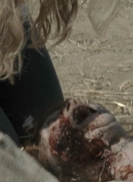 twd2x08_0035.jpg