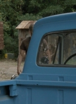 twd2x08_0258.jpg