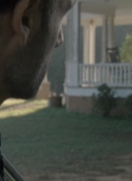 twd2x08_0506.jpg