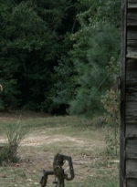 twd2x08_0529.jpg