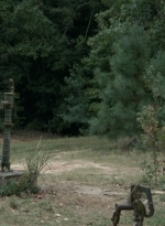 twd2x08_0531.jpg