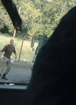 twd2x10_0603.jpg