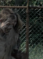 twd2x10_0621.jpg