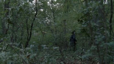 twd2x11_0530.jpg