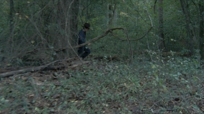 twd2x11_0534.jpg