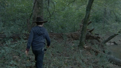 twd2x11_0537.jpg