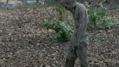 twd2x11_0544.jpg