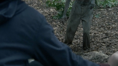 twd2x11_0559.jpg