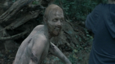 twd2x11_0733.jpg