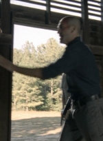 twd2x11_0284.jpg