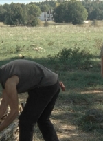 twd2x11_0321.jpg