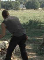 twd2x11_0323.jpg