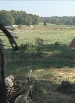 twd2x11_0339.jpg