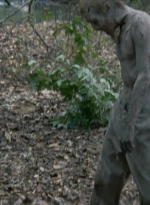 twd2x11_0544.jpg