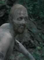 twd2x11_0733.jpg