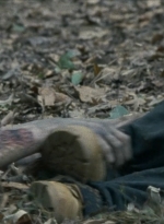 twd2x11_0739.jpg