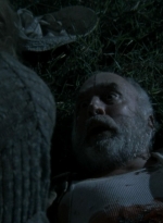 twd2x11_1101.jpg