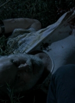 twd2x11_1108.jpg