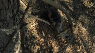 twd2x12_0692.jpg