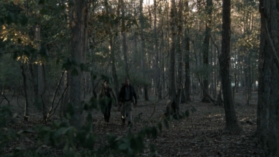 twd2x12_0729.jpg