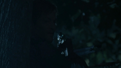 twd2x12_0831.jpg