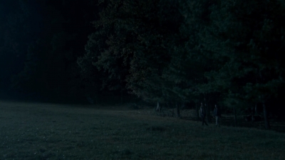 twd2x12_0885.jpg