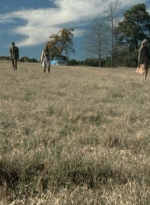 twd2x12_0042.jpg