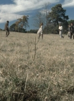 twd2x12_0052.jpg