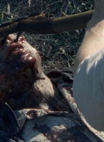 twd2x12_0067.jpg