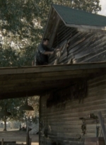 twd2x12_0224.jpg