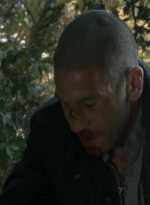 twd2x12_0710.jpg