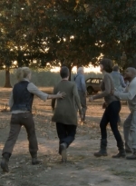 twd2x12_0725.jpg