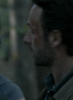 twd2x12_0740.jpg