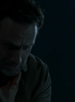 twd2x12_1021.jpg