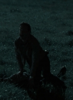 twd2x12_1034.jpg