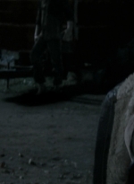 twd2x13_0363.jpg