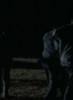 twd2x13_0375.jpg