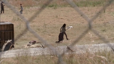 twd315-000413.jpg