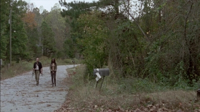 twd315-001405.jpg
