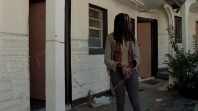 twd315-001737.jpg