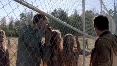 twd315-001991.jpg