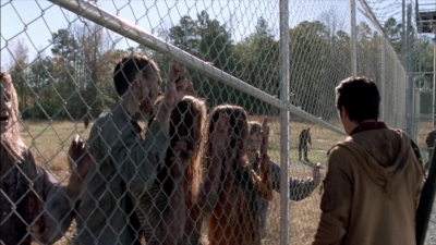 twd315-001992.jpg