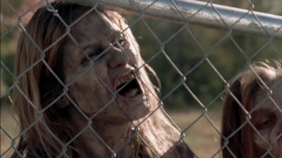 twd315-002002.jpg