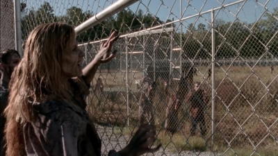 twd315-002015.jpg