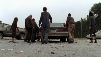 twd315-002308.jpg