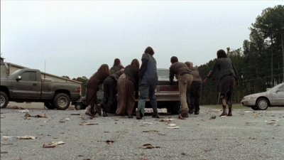 twd315-002311.jpg