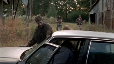 twd315-002407.jpg