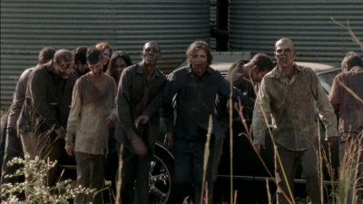 twd315-002424.jpg