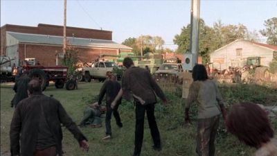 twd315-002458.jpg