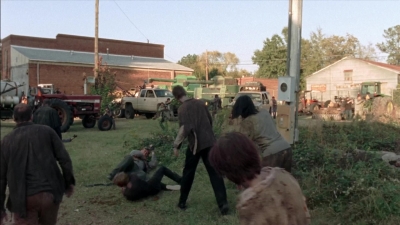 twd315-002459.jpg